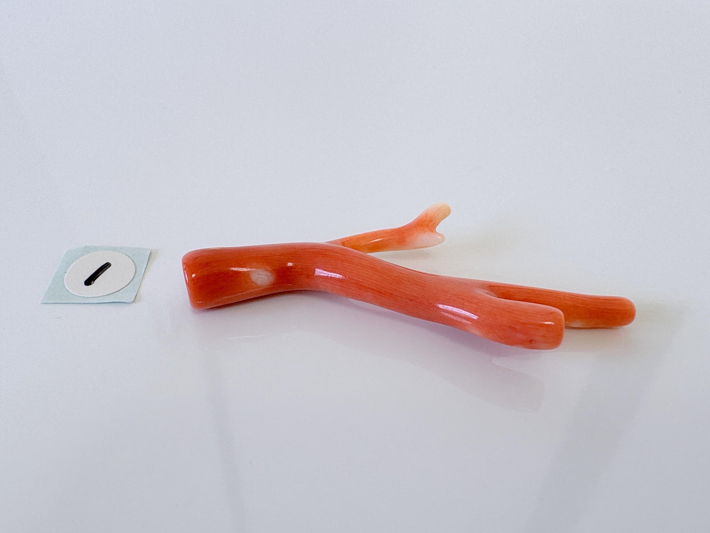 Natural Japanese Momo Coral, Orange Color, Hole on Top, 50-57mm, Genuine Precious Coral, For Jewelry Making, Price per Piece