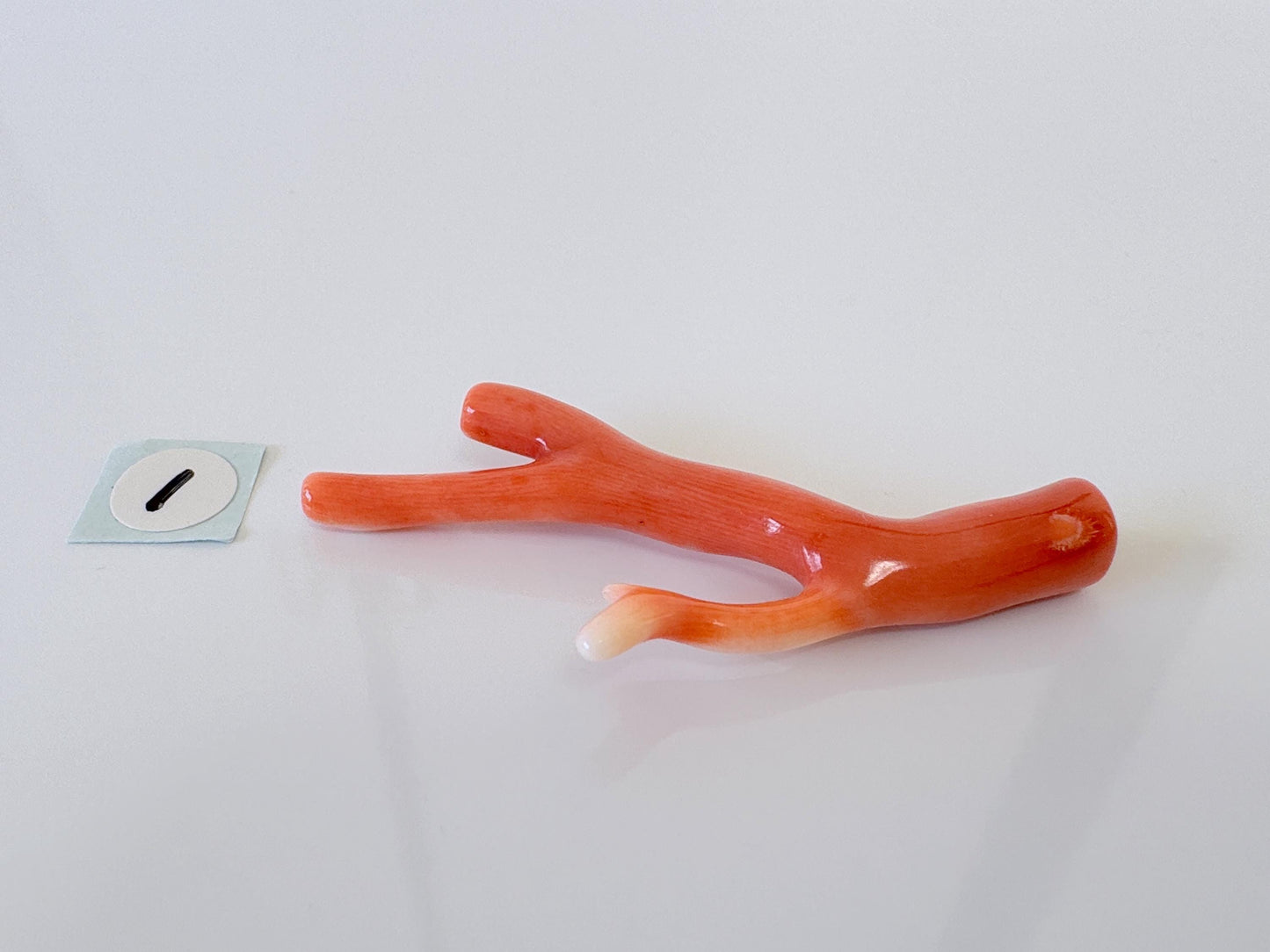 Natural Japanese Momo Coral, Orange Color, Hole on Top, 50-57mm, Genuine Precious Coral, For Jewelry Making, Price per Piece