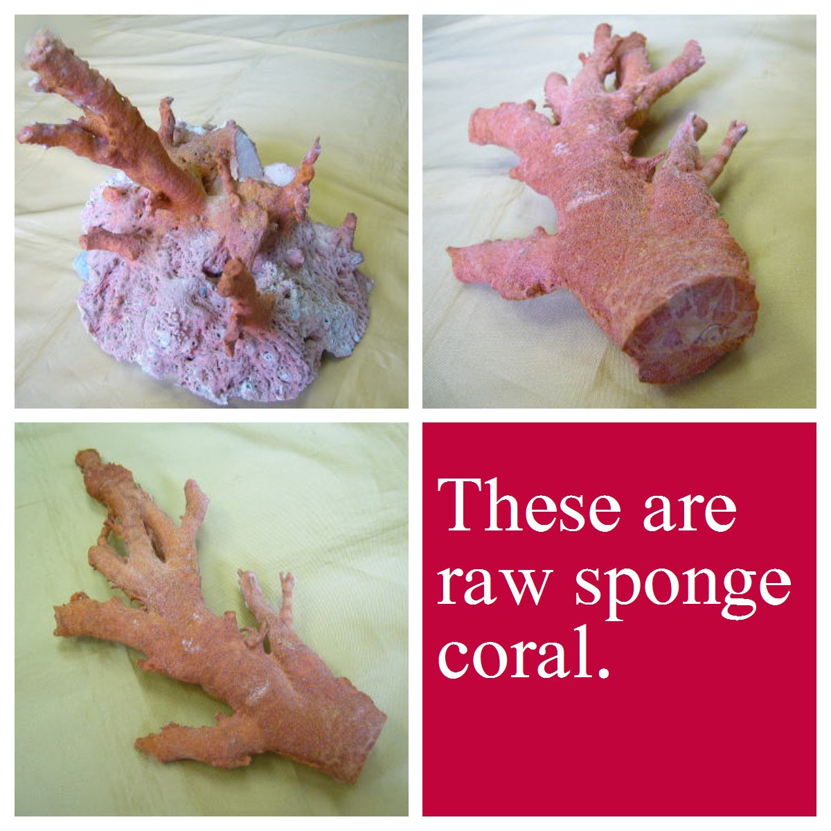Sponge Coral Strand: 5.5-6mm Apple Coral Beads, 15.7", Red-bright red color