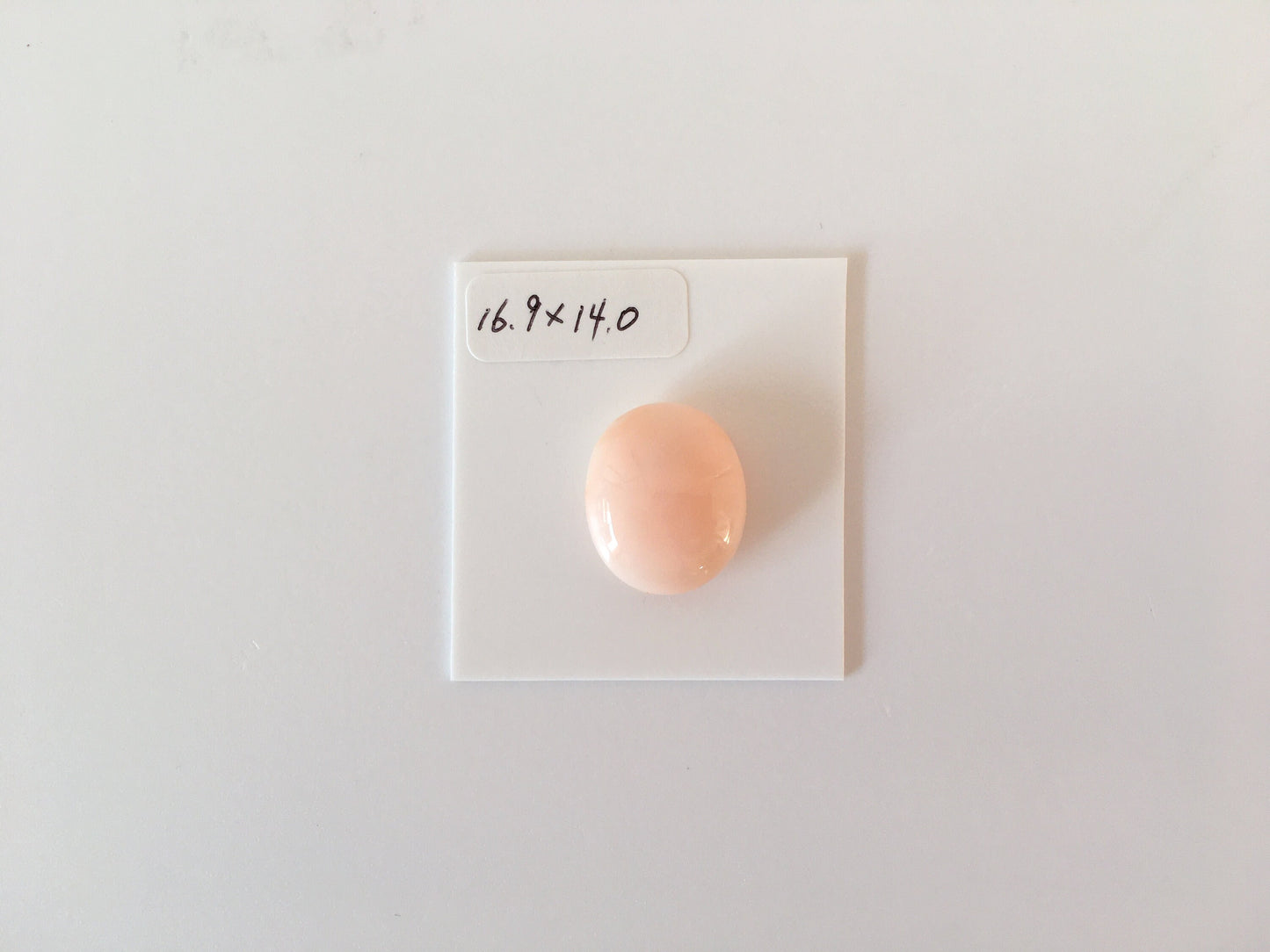 16.9x14.0mm, Natural deep sea angel skin color coral oval cabochon, Natural pink color coral loose, For jewelry making