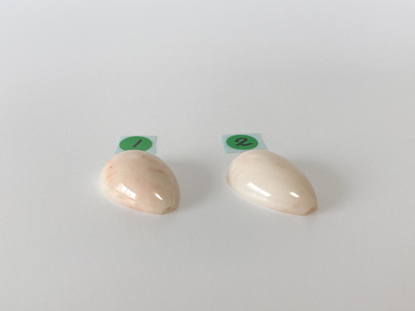 Natural Deep Sea Coral Teardrop Cabochon, Natural White/Pink Coral Teardrop Shape Loose, for Jewelry Making, Drilled Hole, Flat Back