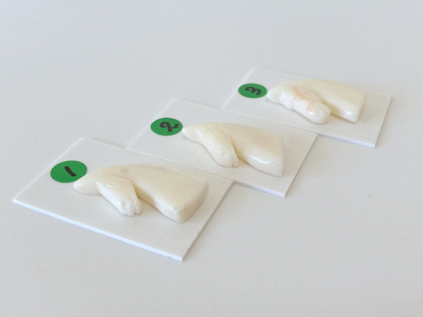 Natural White Coral Horse Carving Loose, Natural White Color Coral, Carved on both sides , For Jewelry Making, Hand Carved, Hole on top