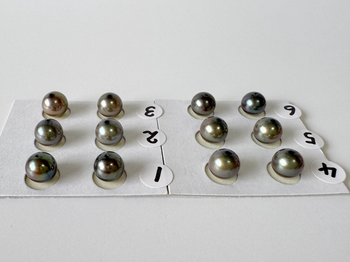 Peacock Black Akoya, Japanese Cultured Round Loose Pair | Salt Water | Half Drilled | 7-7.5Mm