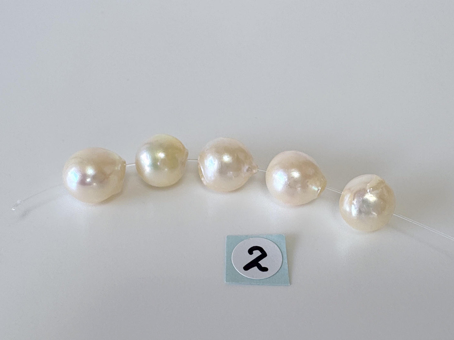 Japanese Cream White Akoya Pearl Beads, 9.5-9.9mm, Mini Strand, Short Strand, 5 Pieces, Genuine Akoya Pearl, Cultured in Sea Water