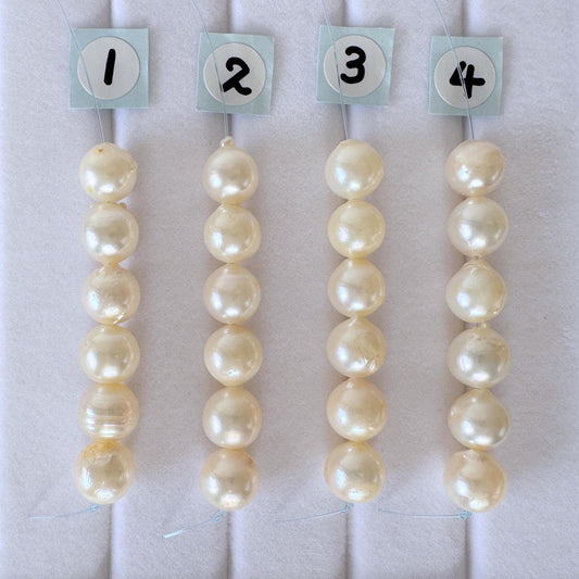Japanese Akoya Pearl Beads: Cream White Semi-Round, 7-7.5mm, Short Strand | Cultured Saltwater, 6 Pieces