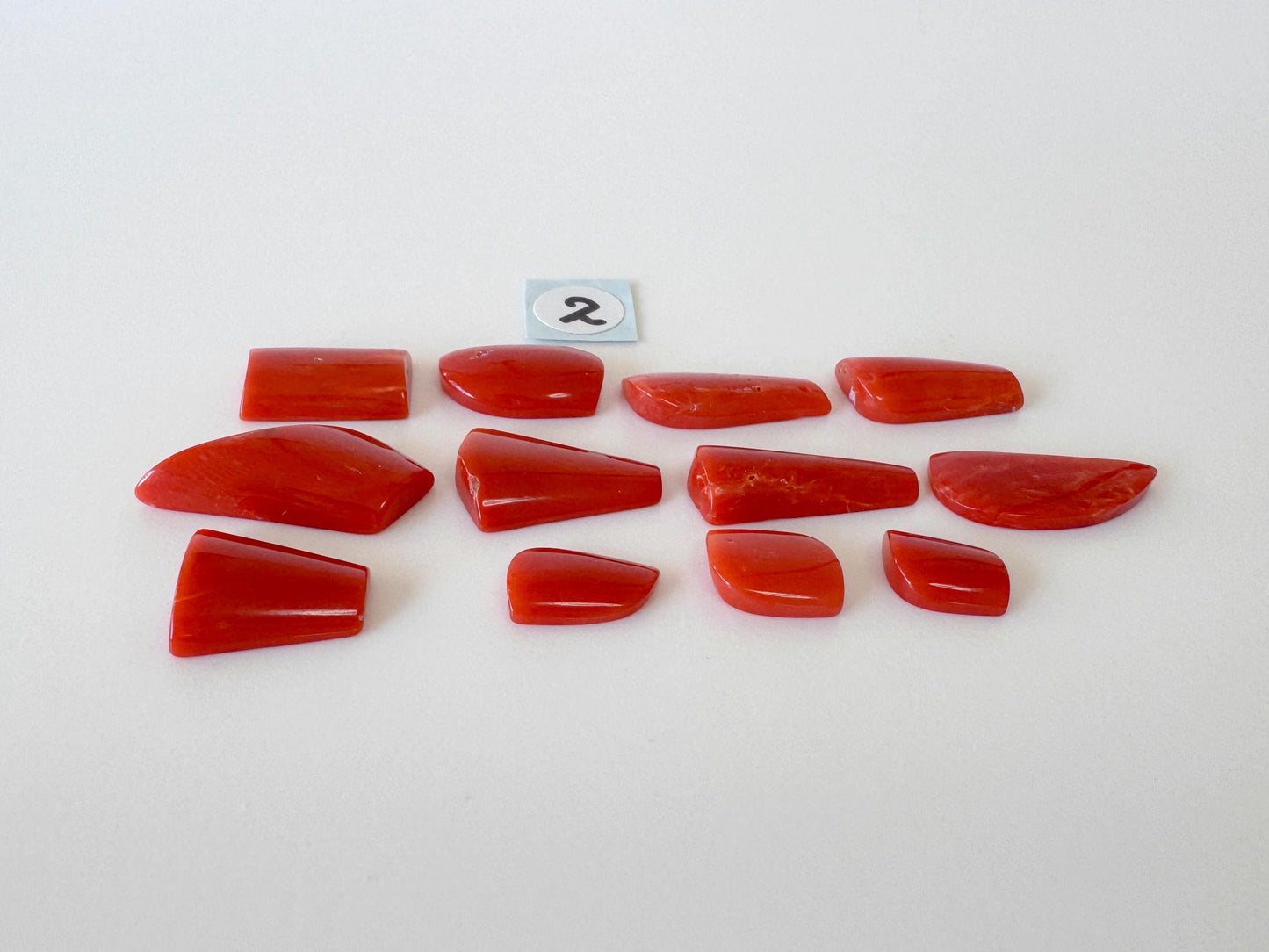 Red Mediterranean Coral Unique Shaped Cabochons: Jewelry Making Supplies (12-13pcs)