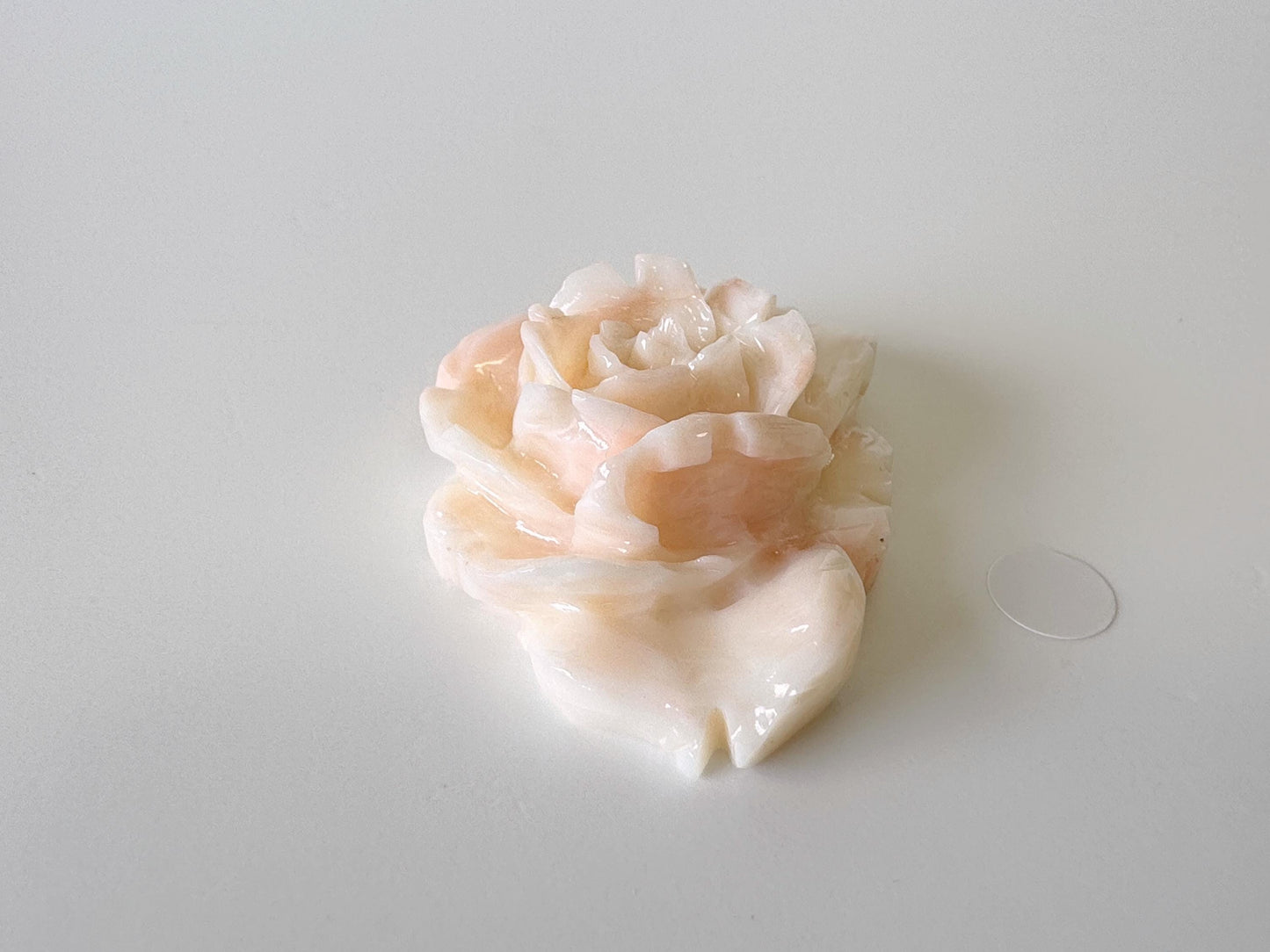 Natural Deep Sea Coral Rose Carving Loose, Natural Pink/White Color Coral, 43x34mm, Flat Back, For Jewelry Making