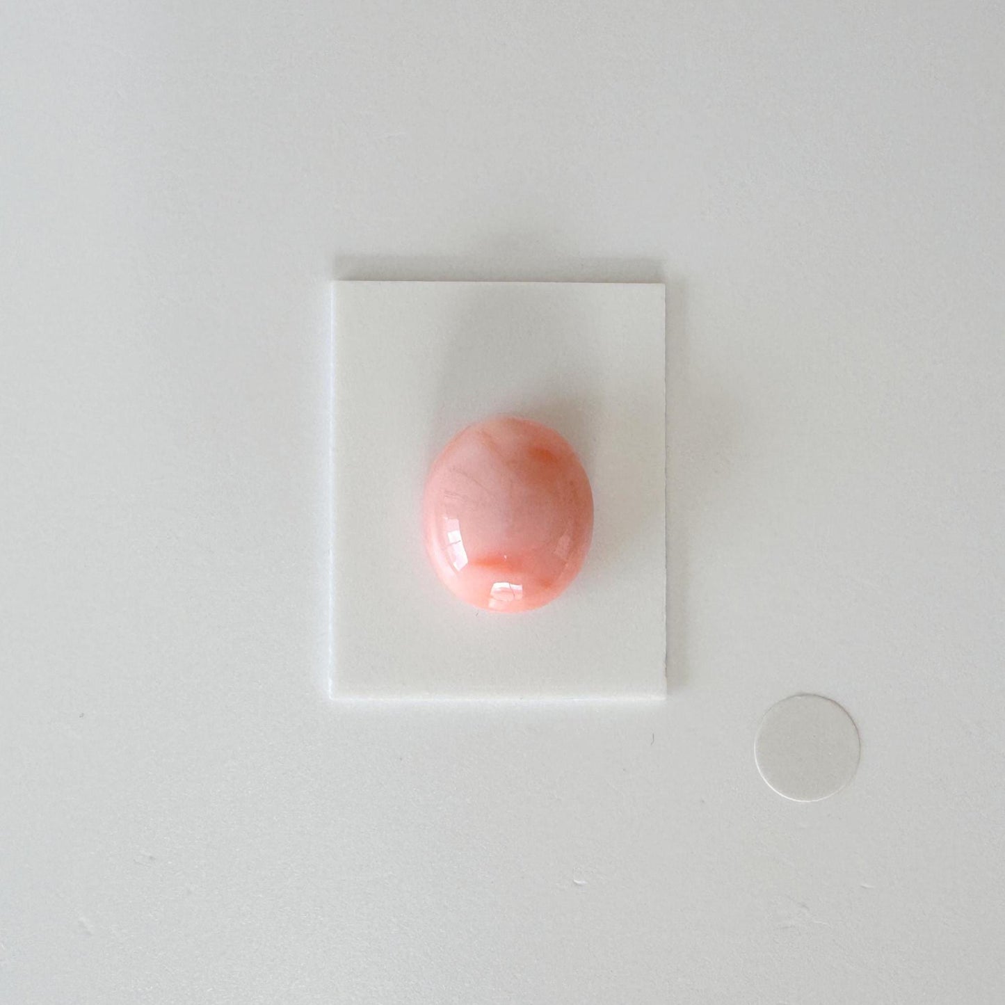 Natural Deep Sea Coral Cabochon, Pink/Orange Oval, 14.2x12.3mm