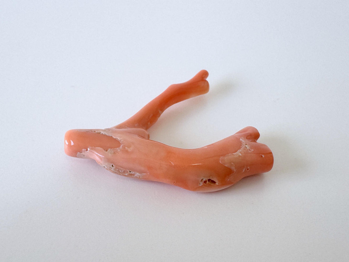 Natural Coral Branch, Pink Orange, 41mm | Hole Top | Deep Sea Coral Jewelry Making Supply