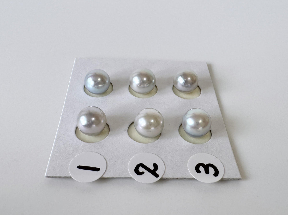 Akoya Pearls Loose Natural Blue/Silver Half-Drilled: 7-7.5mm, Japanese Cultured Saltwater Beads, Pair Pricing | Jewelry Supplies