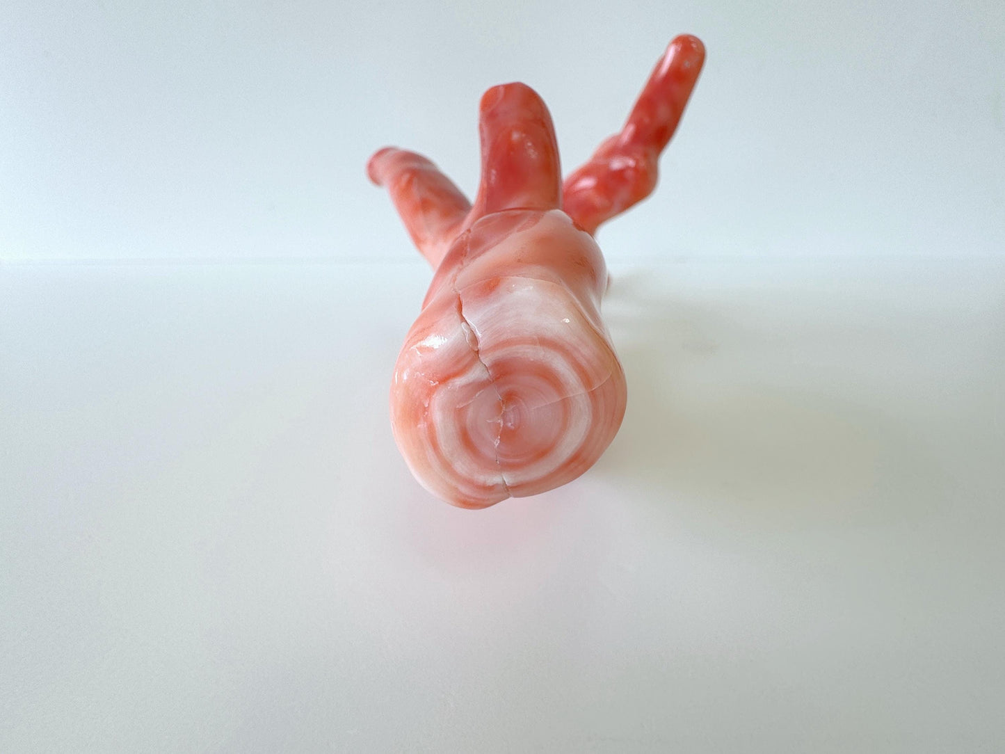 17.5ｘ7cm Natural Deep Sea Coral Branch Loose, Genuine Natural Color Orange/Pink Color Coral Branch, No Drilled Hole, For Display