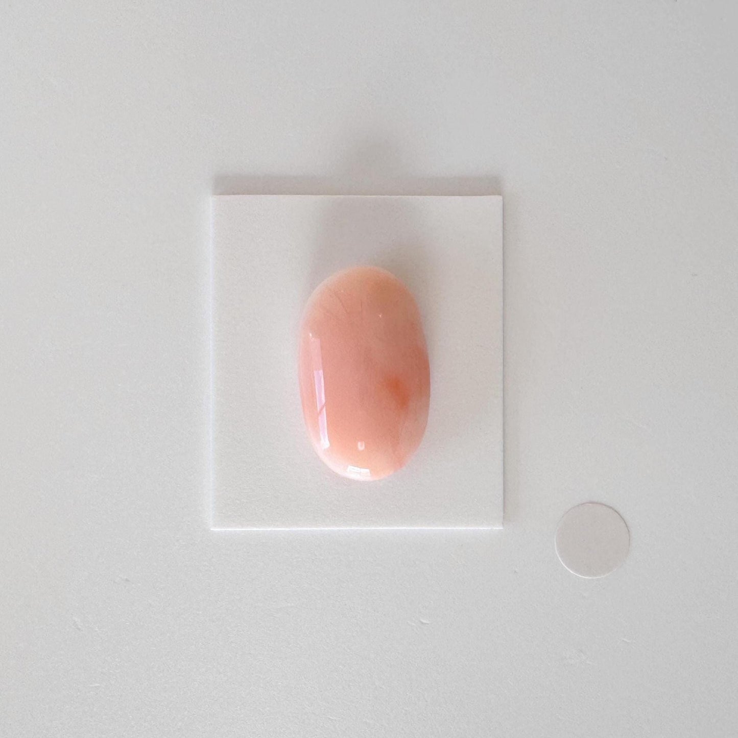 Natural Deep Sea Coral Cabochon, Pink/Orange Oval, 22x13.4mm