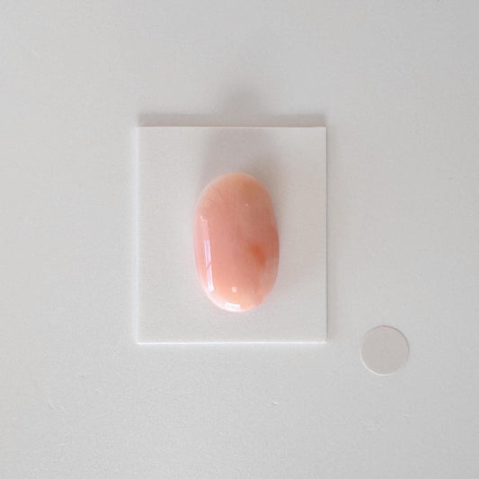 Natural Deep Sea Coral Cabochon, Pink/Orange Oval, 22x13.4mm