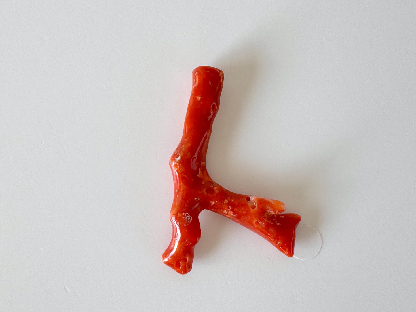 Japanese red(Aka) coral branch, 45mm, Hole on top, Natural red color coral for jewelry making