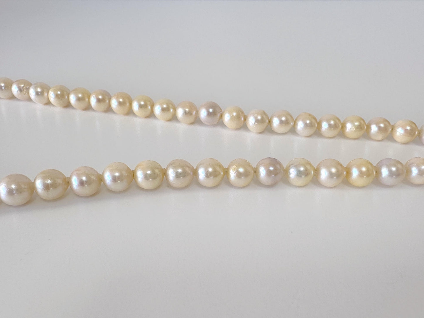 7-7.5mm Japanese Yellow Akoya Pearl Necklace with Silver Clasp, Genuine Akoya Pearl, 44.5cm, 17.5in, Cultured Salt water pearl