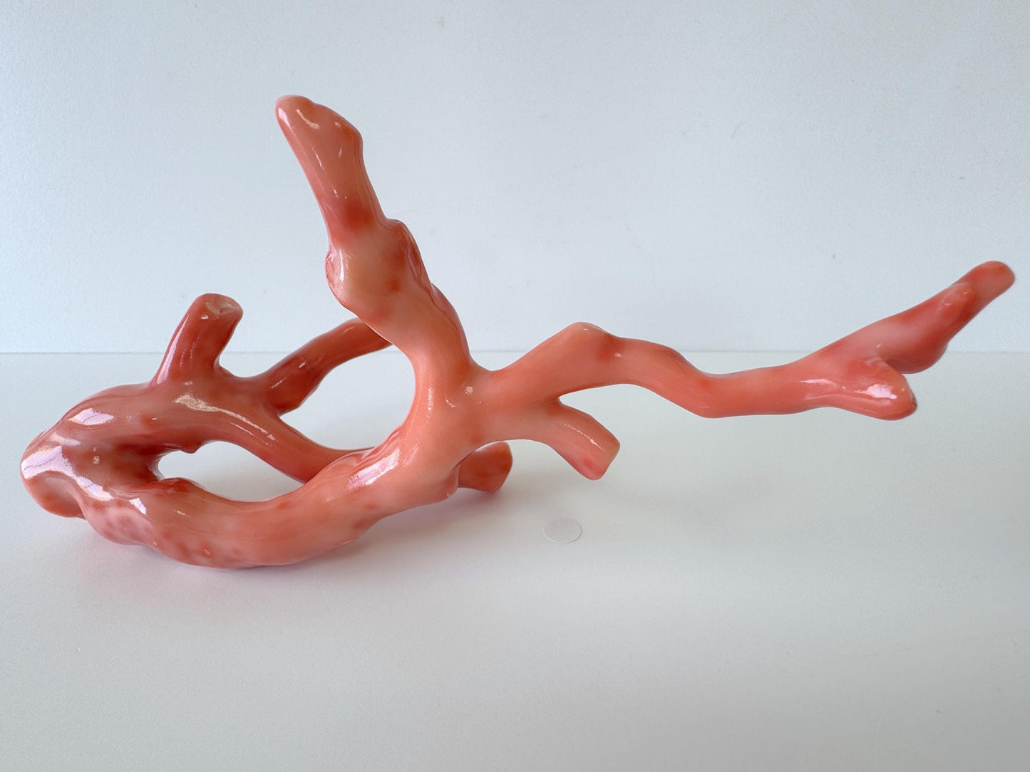 17.5ｘ7cm Natural Deep Sea Coral Branch Loose, Genuine Natural Color Orange/Pink Color Coral Branch, No Drilled Hole, For Display