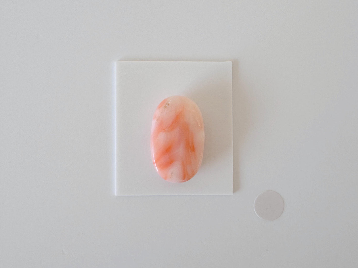 Natural Deep Sea Coral Cabochon, Pink/Orange Oval, 22x13.4mm