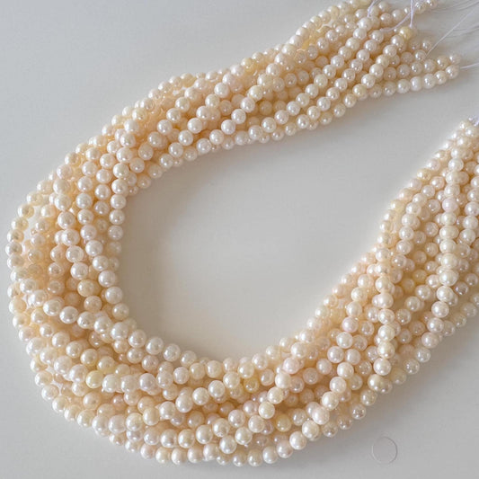 Japanese Akoya Pearl Strand - Cultured Saltwater Beads - 5-5.8mm White-Off White, Full 40cm Length, Jewelry Crafts, Value-Priced