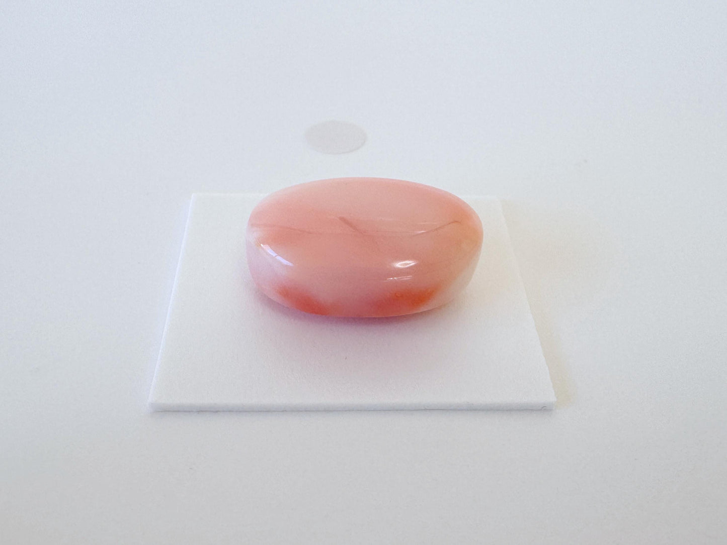 Natural Deep Sea Coral Cabochon, Pink/White/Orange Oval, 22.5x15.5mm