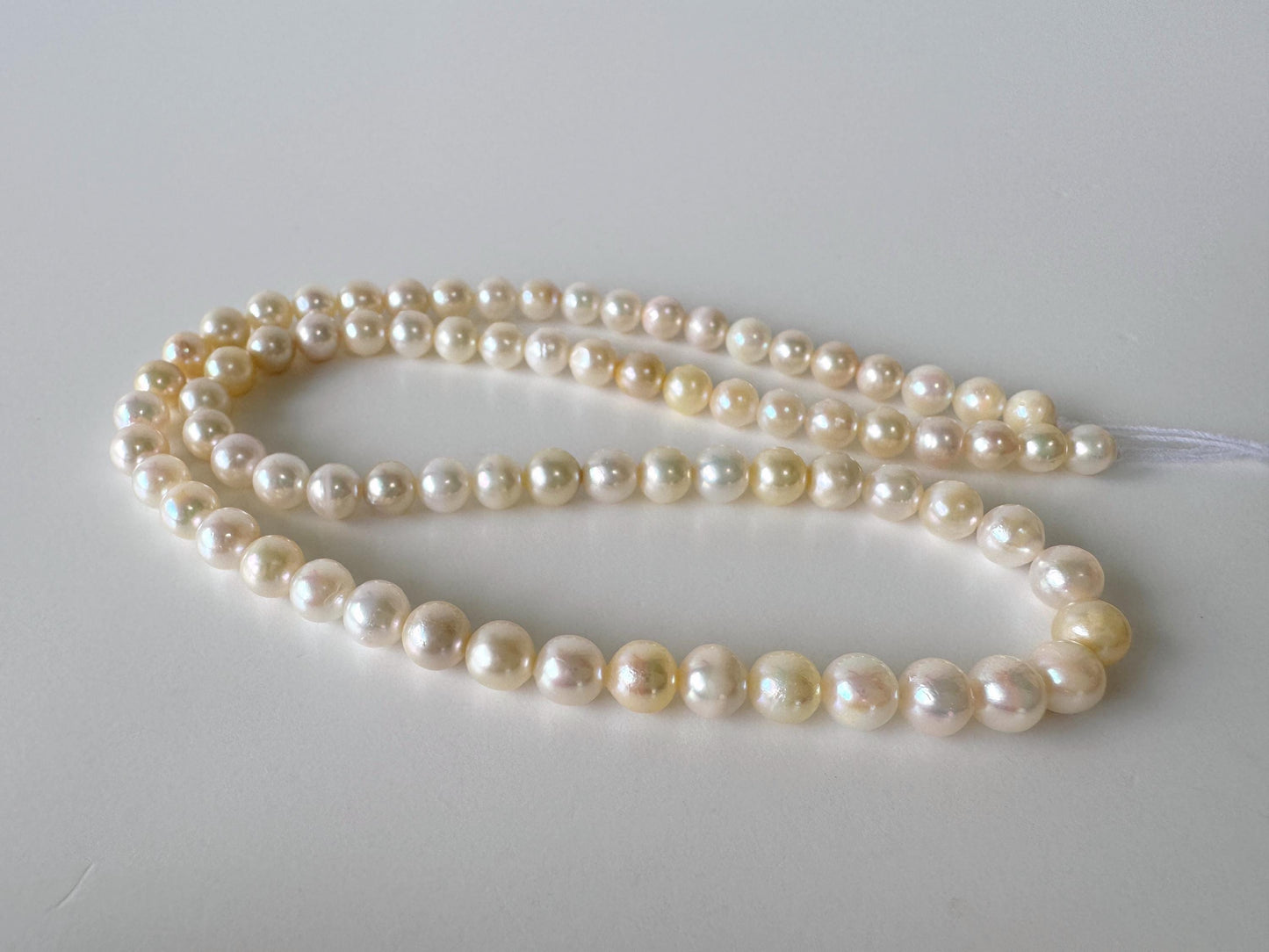 Japanese Akoya Pearl Strand - Cultured Saltwater Beads - 5-5.9mm White-Off White, Full 40cm Length, Jewelry Crafts