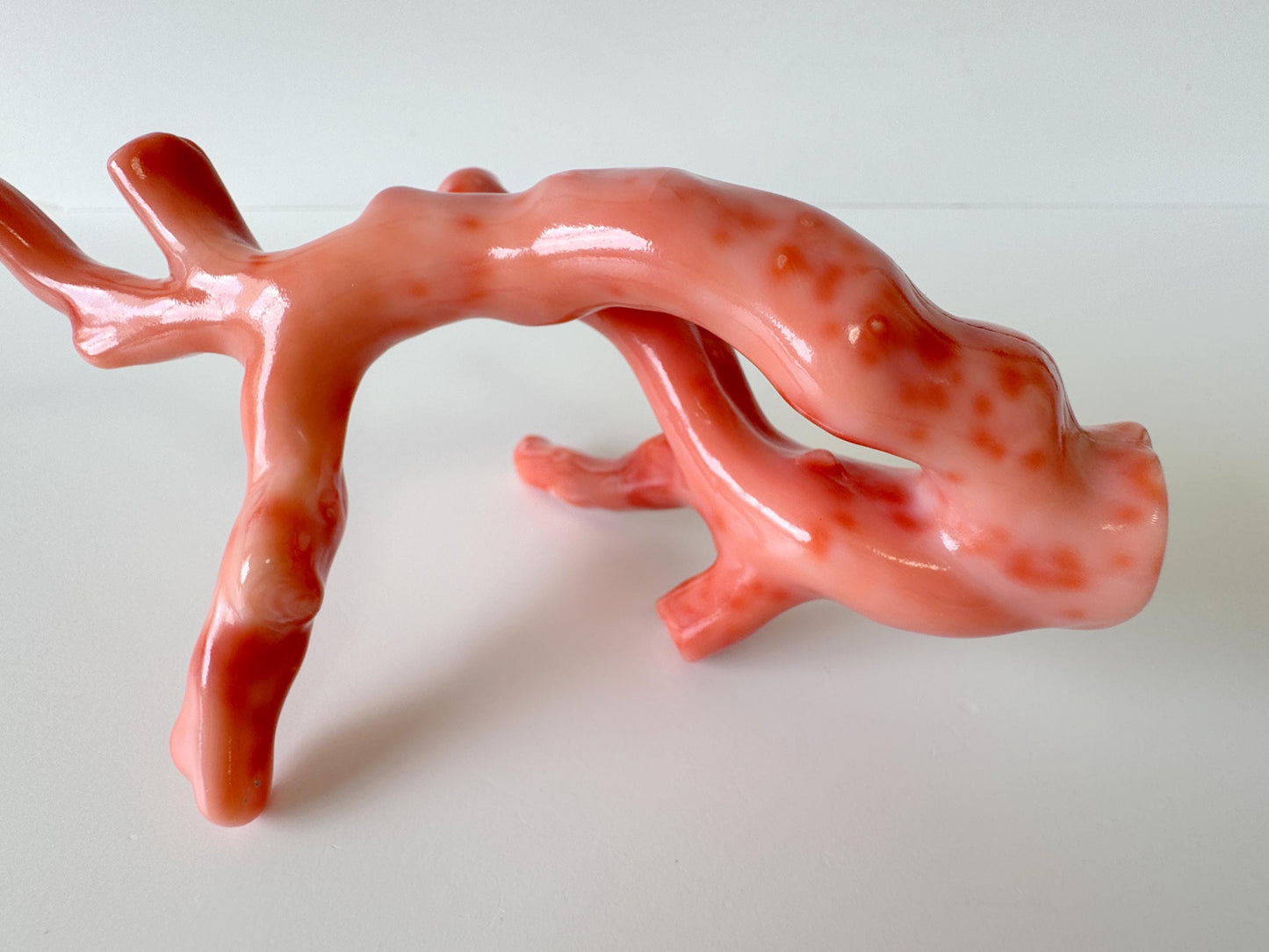 17.5ｘ7cm Natural Deep Sea Coral Branch Loose, Genuine Natural Color Orange/Pink Color Coral Branch, No Drilled Hole, For Display