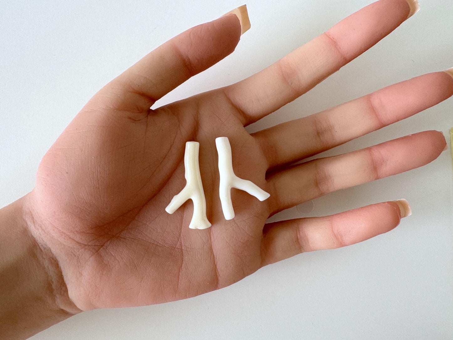 Natural White Coral Branch loose, A Set of 2 Pieces, Hole on top, Natural Color Precious Coral Branch, Genuine Coral for jewelry making