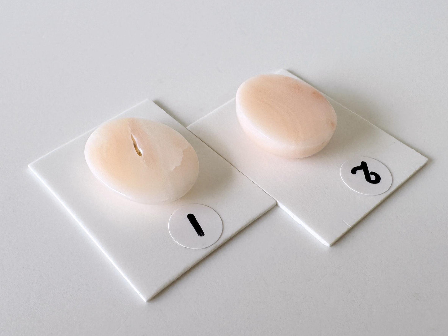 Deep Sea Coral Oval Cabochon: Pink White Natural Gemstone, Genuine Coral, Jewelry Supplies | 19.3x15.1mm, 17.6x14.8mm, Japan Made