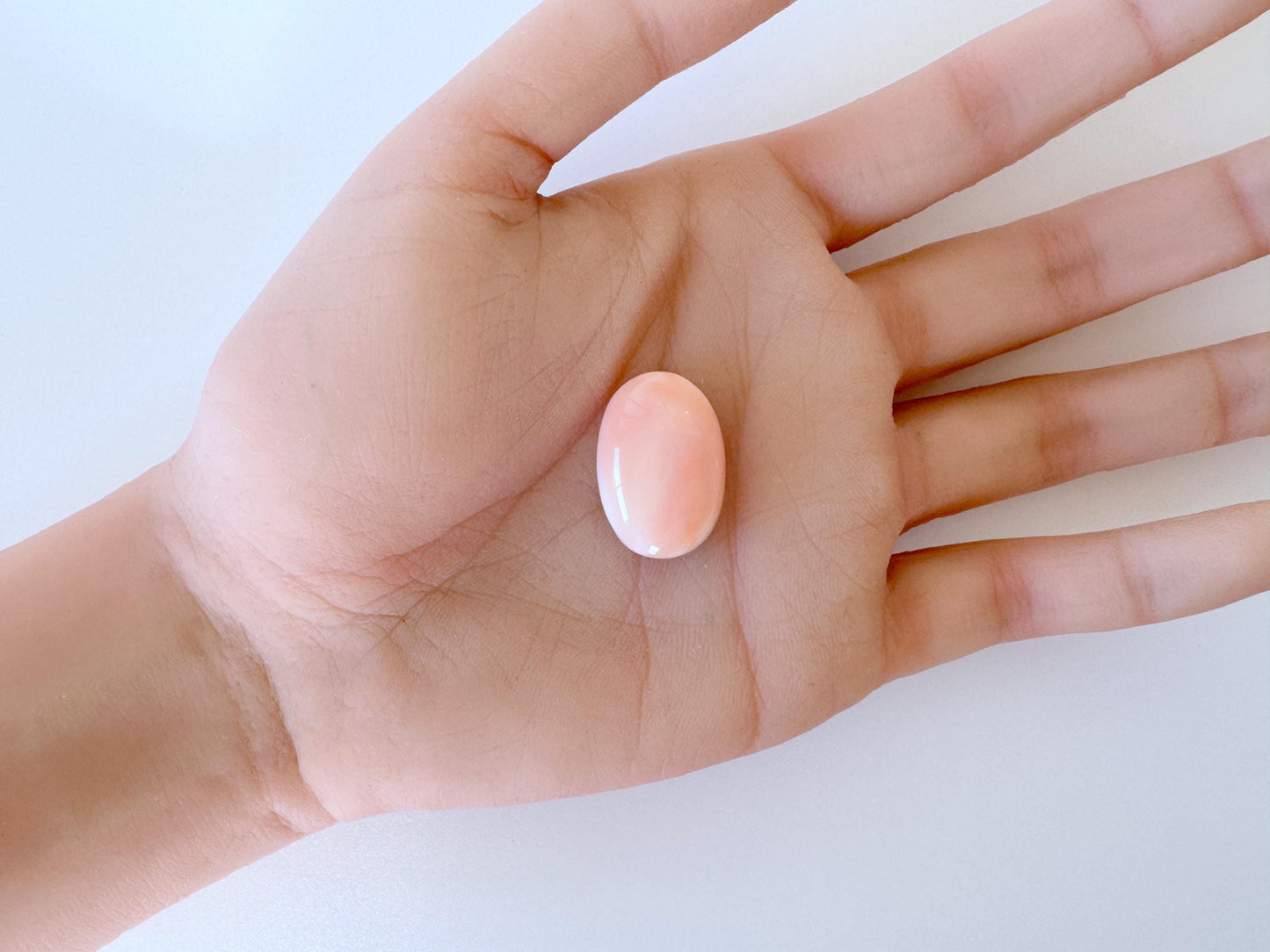 Natural Deep Sea Coral Cabochon, Pink/White/Orange Oval, 22.5x15.5mm