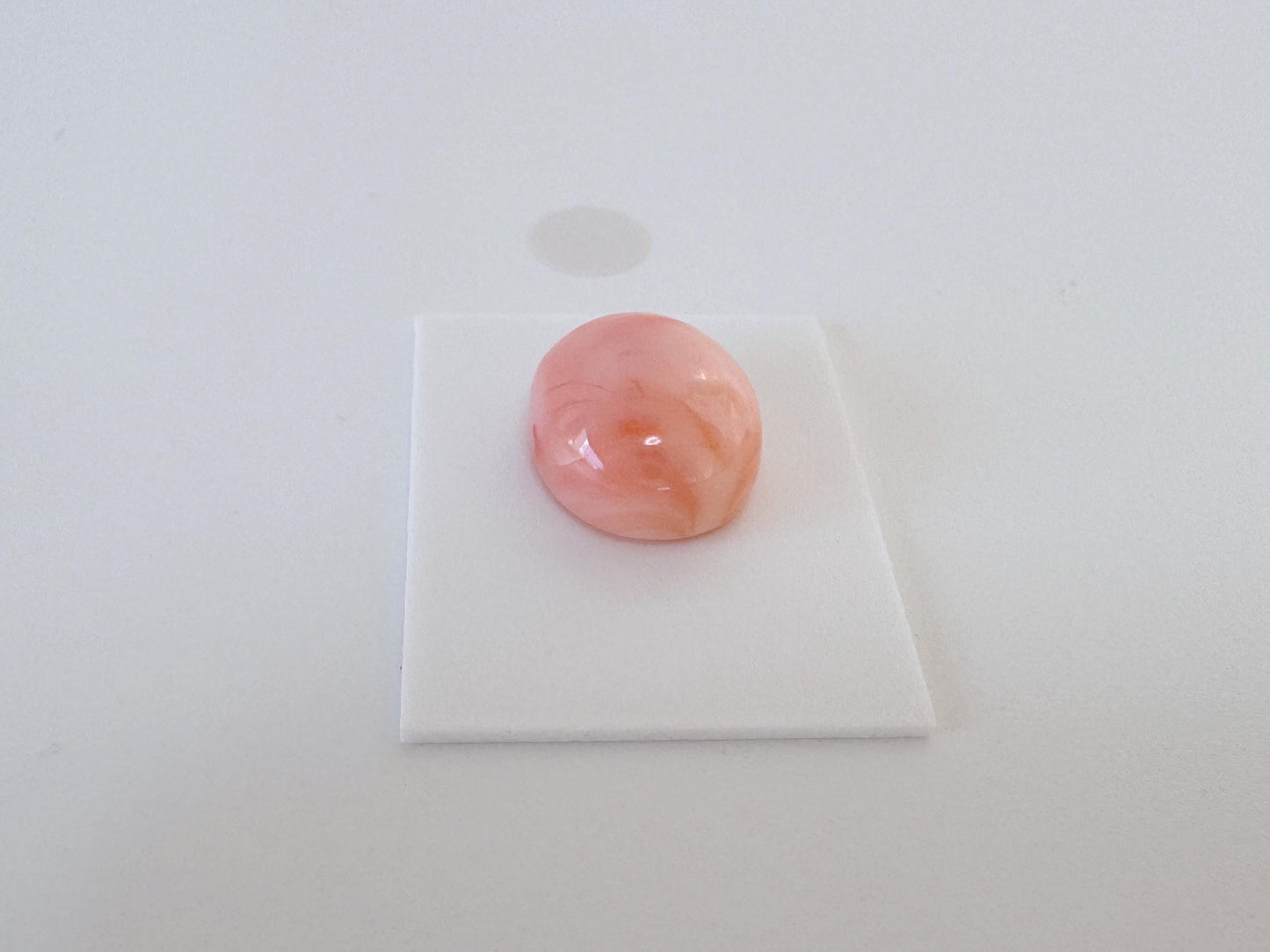 Natural Deep Sea Coral Cabochon, Pink/Orange Oval, 14.2x12.3mm