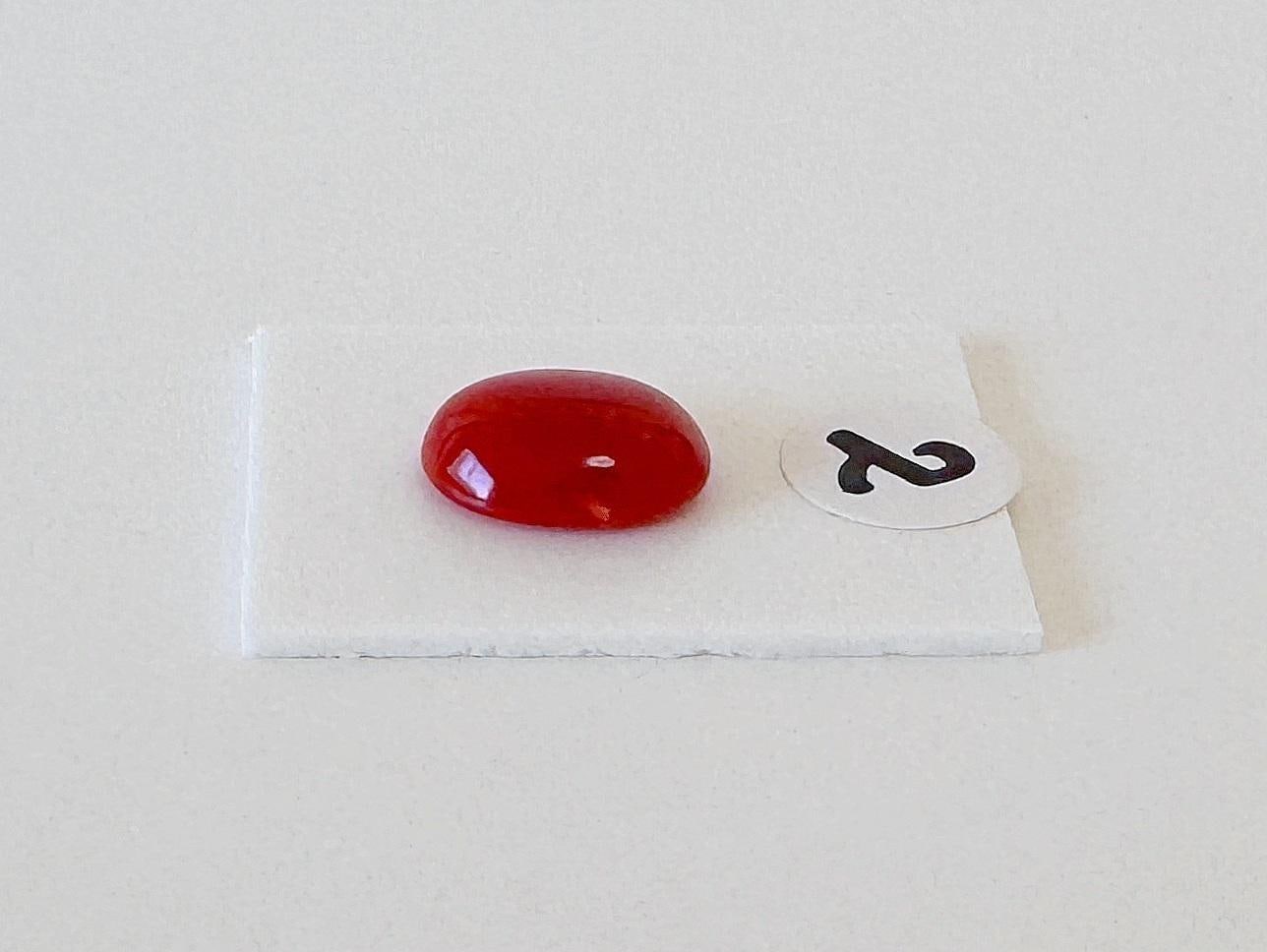 Japanese Red Coral Cabochon Oval Gemstone, Oxblood Hue (9.1x7.2mm, 9.4x7.5mm, Natural Loose Stone, Jewelry Supplies)