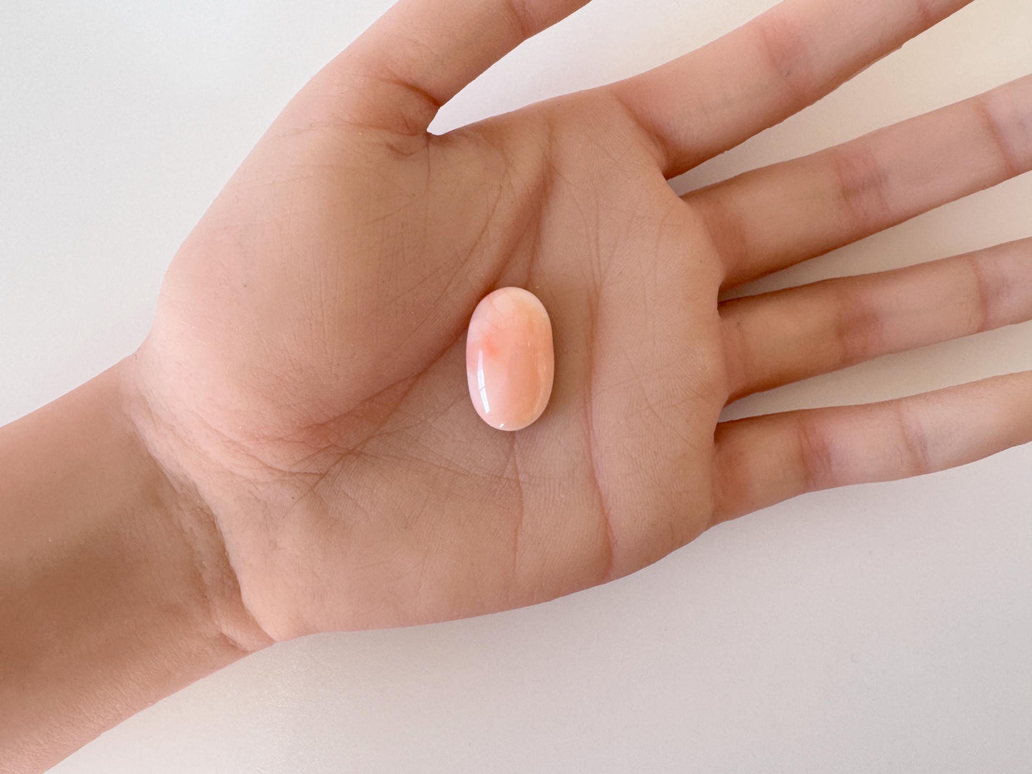 Natural Deep Sea Coral Cabochon, Pink/Orange Oval, 22x13.4mm