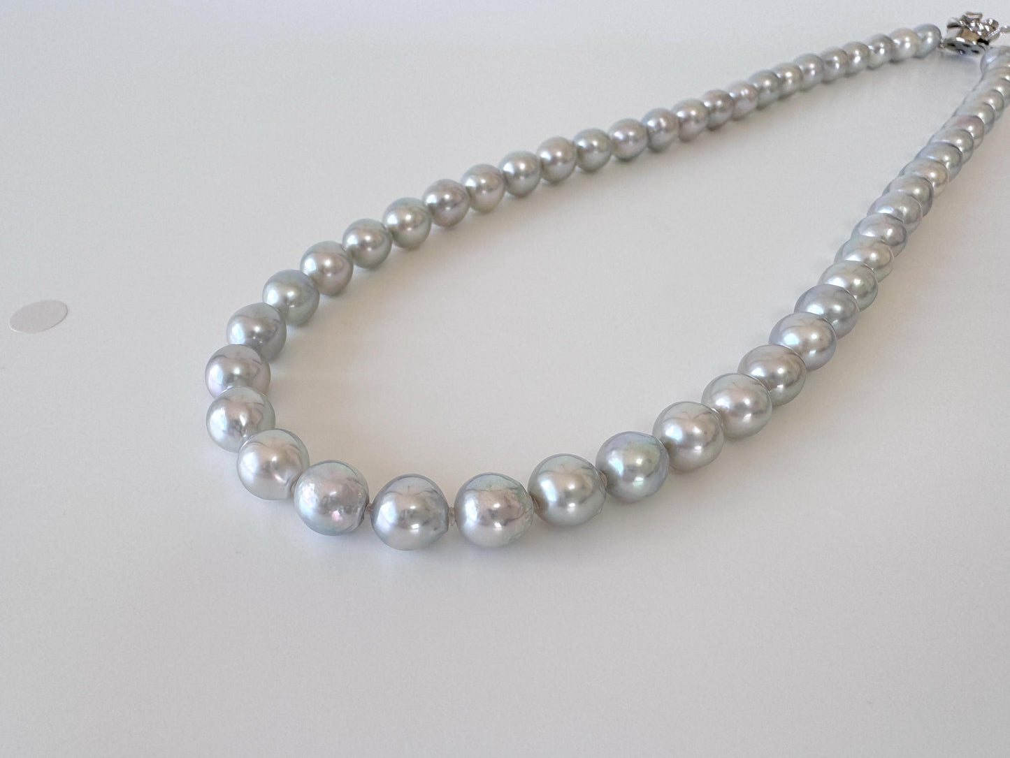 Necklace, 7.5-8mm Japanese Cream Natural Blue/Silver Akoya Pearl Necklace with Silver Clasp, Genuine Akoya Pearl, 45cm, 17.7in, Cultured Salt water pearl