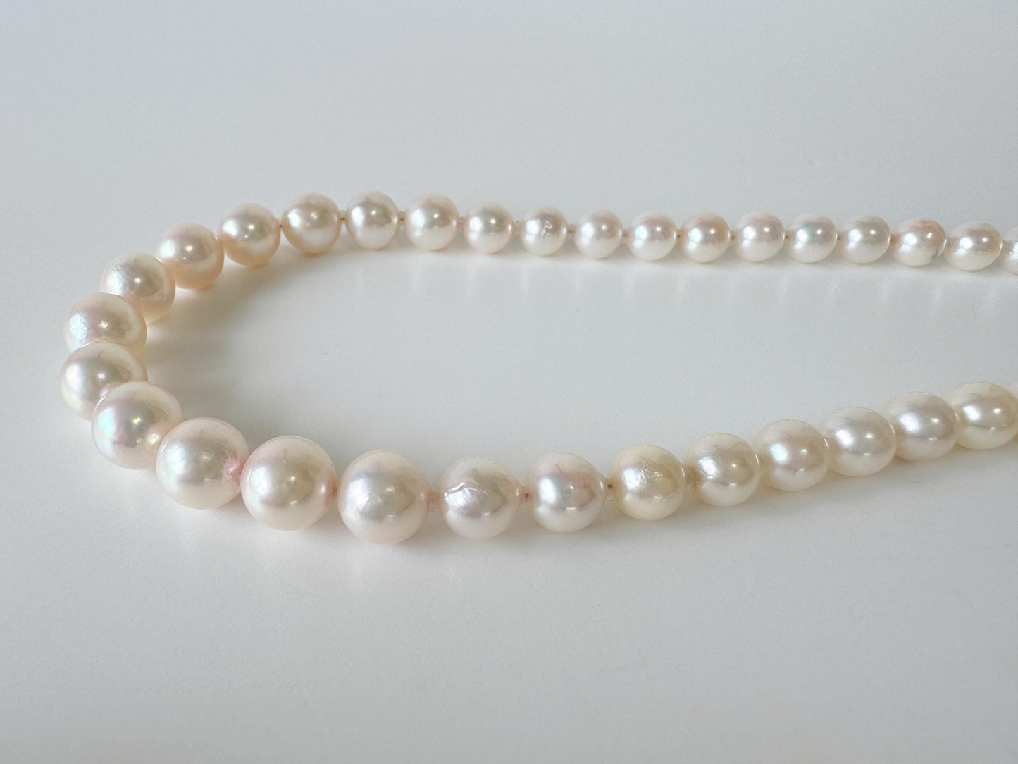 Japanese Akoya Pearl Necklace: White/Slightly Pink 6.8-9.3mm Cultured Strand, Silver Clasp | Saltwater Gems, 45cm Length