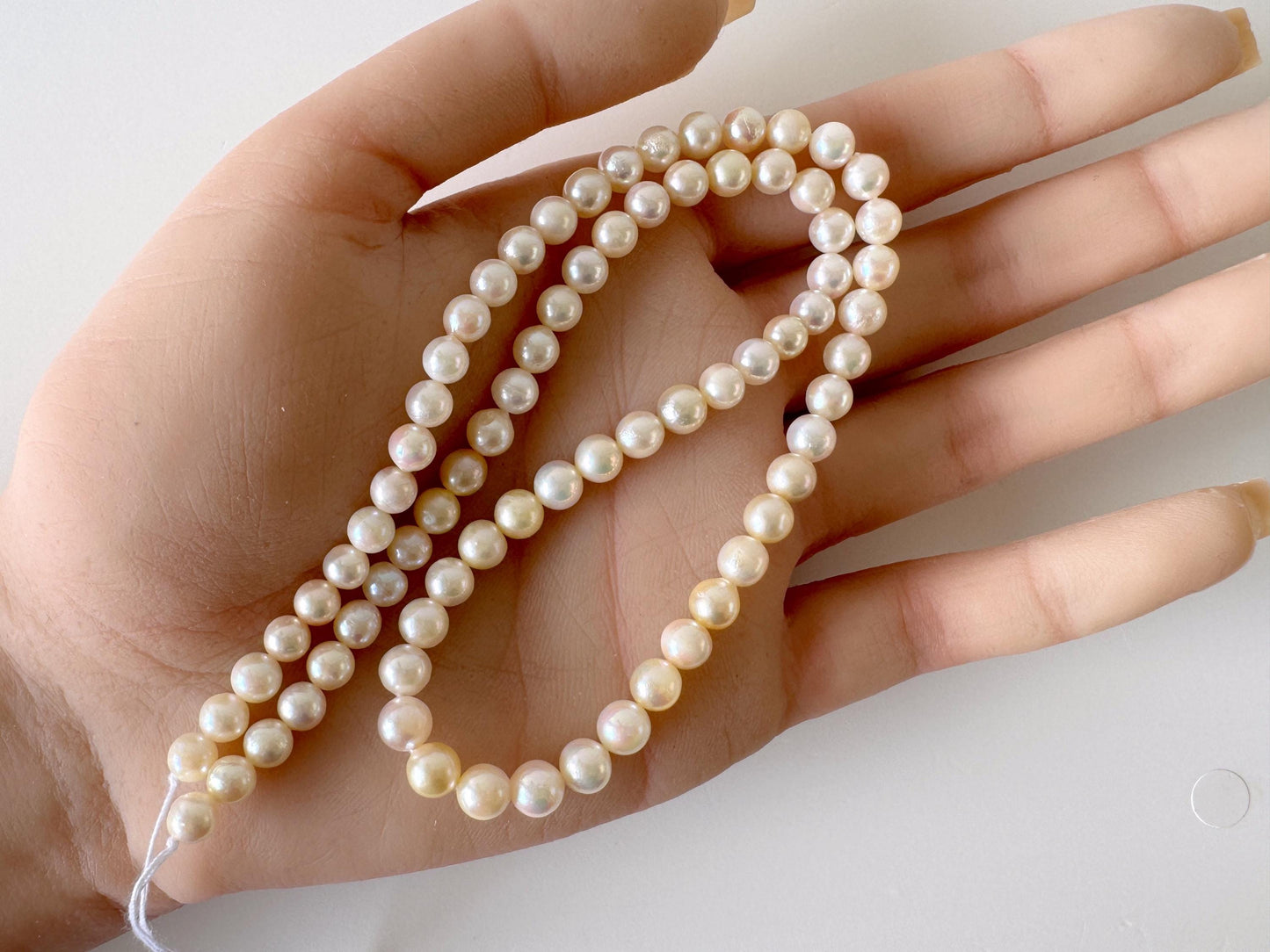 Japanese Akoya Pearl Strand - Cultured Saltwater Beads - 5-5.9mm White-Off White, Full 40cm Length, Jewelry Crafts