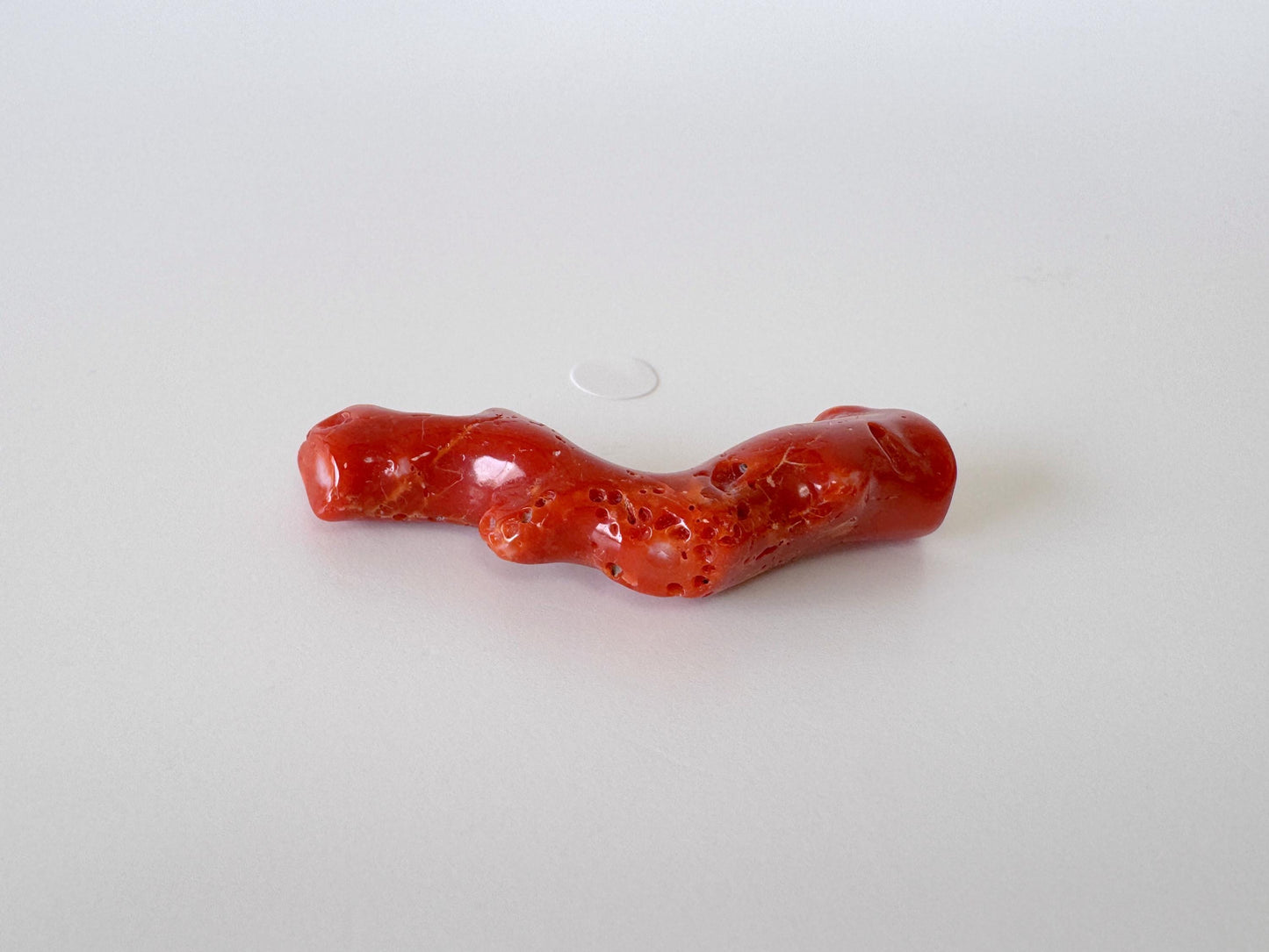 Japanese red(Aka) coral branch, 46mm, Hole on top, Natural red color coral for jewelry making