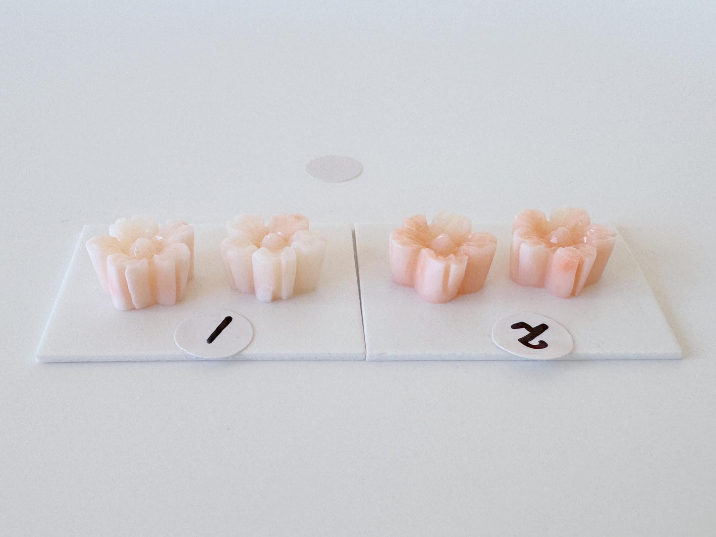 Deep Sea Coral Carving – Natural Pink Sakura Flower, 11mm Pair, Half Drilled Gemstones