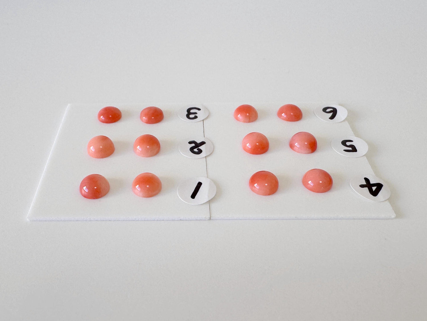 Deep Sea Coral Round Cabochons - Natural Pink Orange Pair, 5.8-6mm Half Drilled