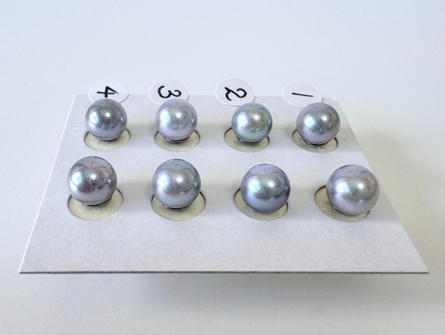 Japanese Akoya Pearl Stud Earrings, Blue Silver Treated (7mm, Titanium Posts, Saltwater Cultured)