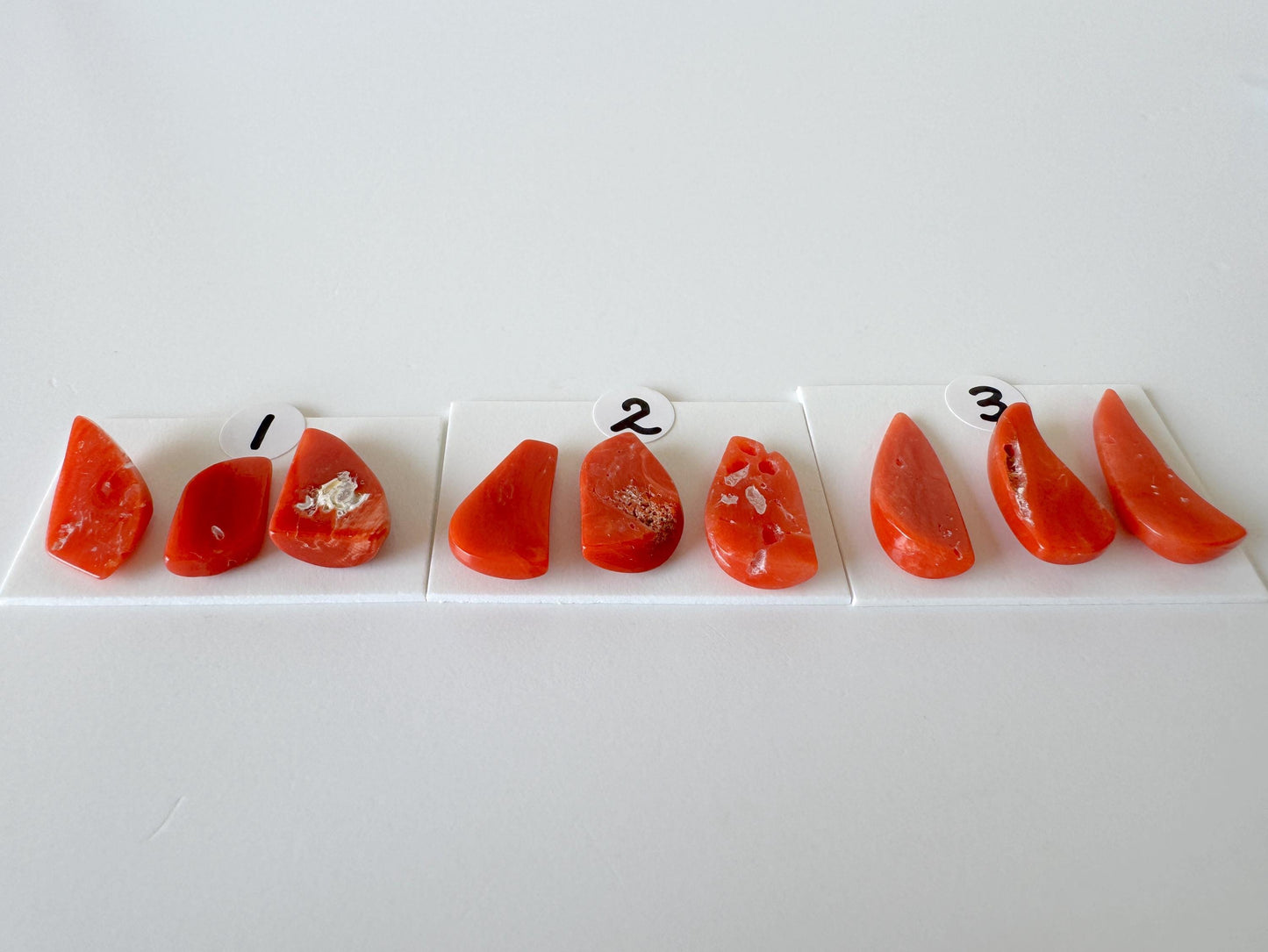 Red Coral Loose Gemstones Natural Set, Mediterranean Red Coral Pieces (3pcs, Undrilled, Organic Shapes for Jewelry)