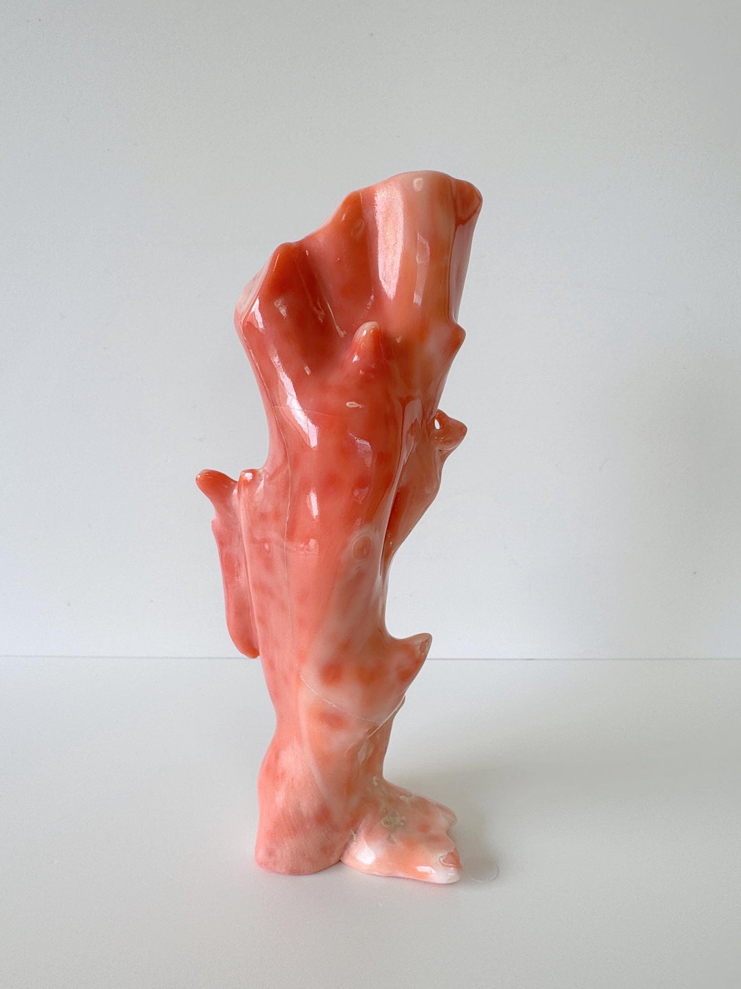 15ｘ5cm Big Diameter Natural Deep Sea Coral Branch Loose, Genuine Natural Color Orange/Pink Color Coral Branch, No Drilled Hole, For Display