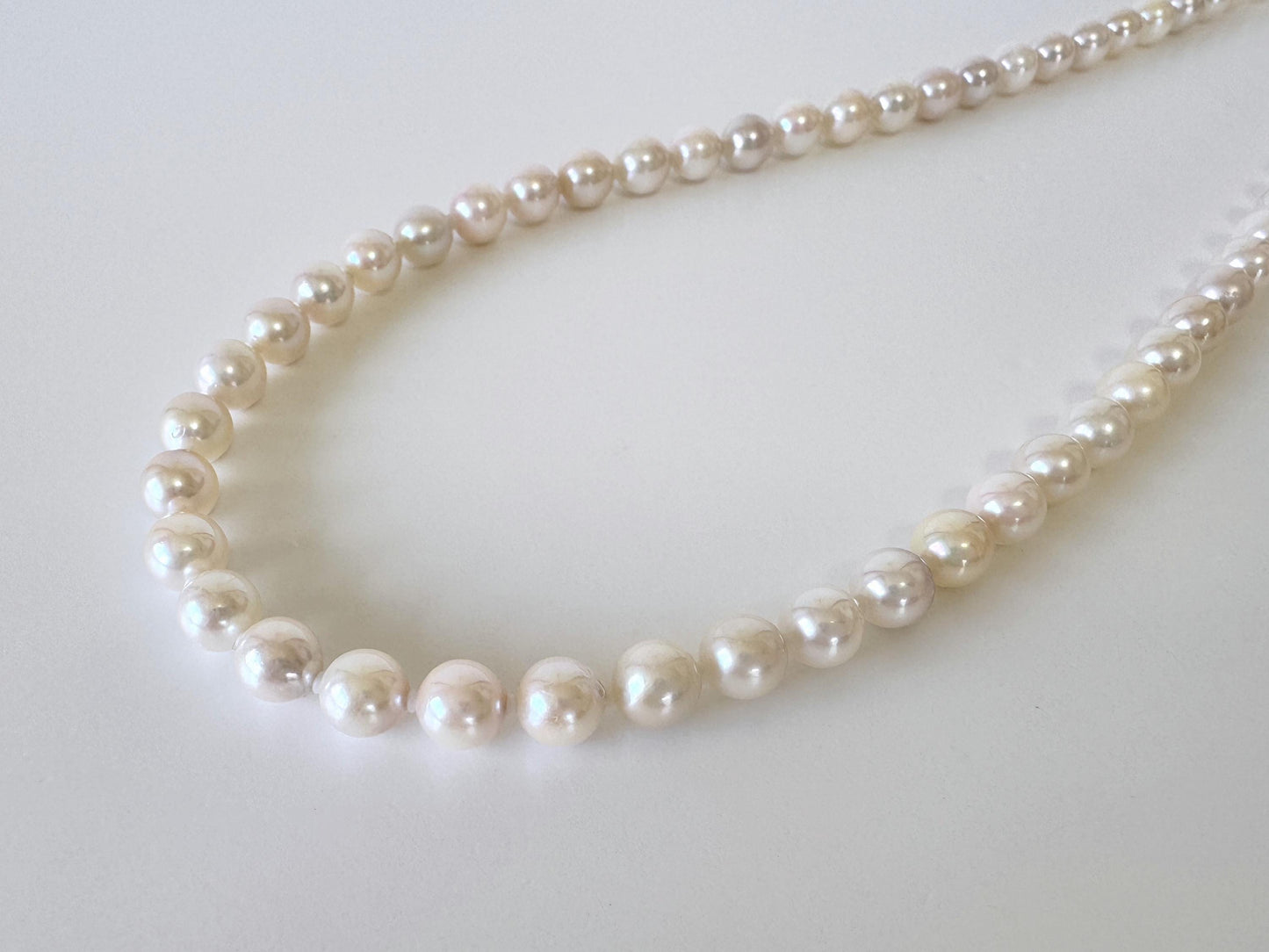 Japanese Akoya Pearl Necklace: Cream White 6.5-7mm Cultured Strand, Silver Clasp | Saltwater Gems, 45cm Length