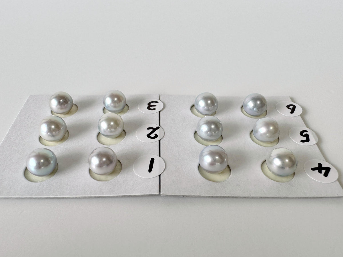 Akoya Pearls Loose Natural Blue/Silver Half-Drilled: 7-7.5mm, Japanese Cultured Saltwater Beads, Pair Pricing | Jewelry Supplies