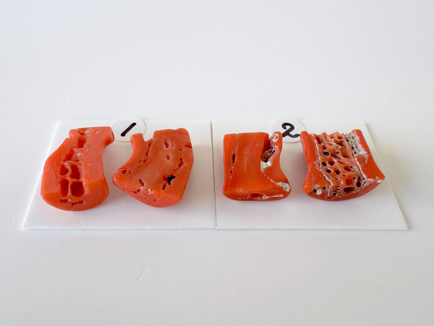 Mediterranean Coral Loose Gemstone: Natural Red-Orange Tones - Untreated, Top-hole, Jewelry Making Supplies, Per Pair