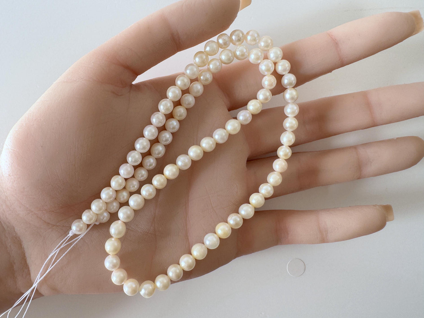 Japanese Akoya Pearl Strand - Cultured Saltwater Beads - 5-5.7mm Off White/Cream, Full 40cm Length, Jewelry Crafts, Value-Priced