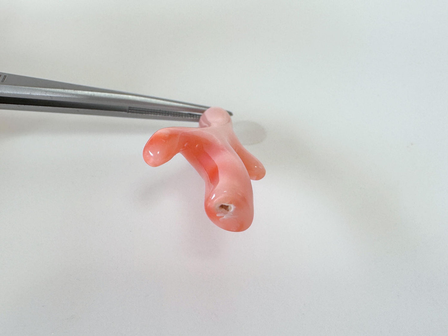 Natural Deep Sea Coral Branch Pendant: Rhodium-Plated Silver Bail, 35mm