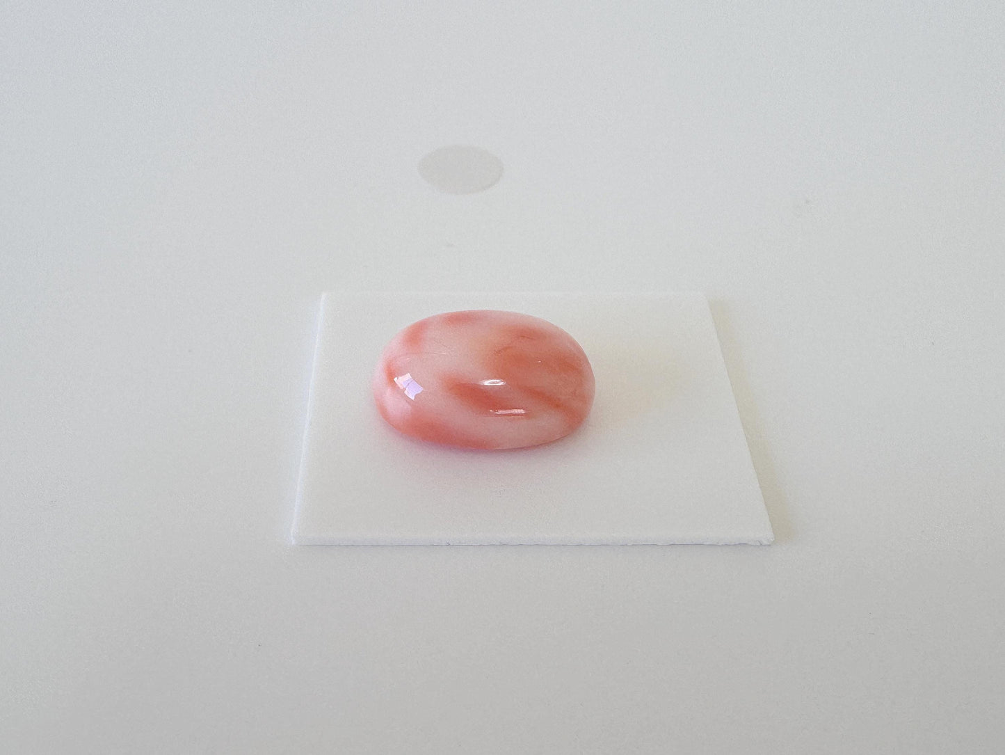 Natural Deep Sea Coral Cabochon, Pink/Orange Oval, 15.6x11mm