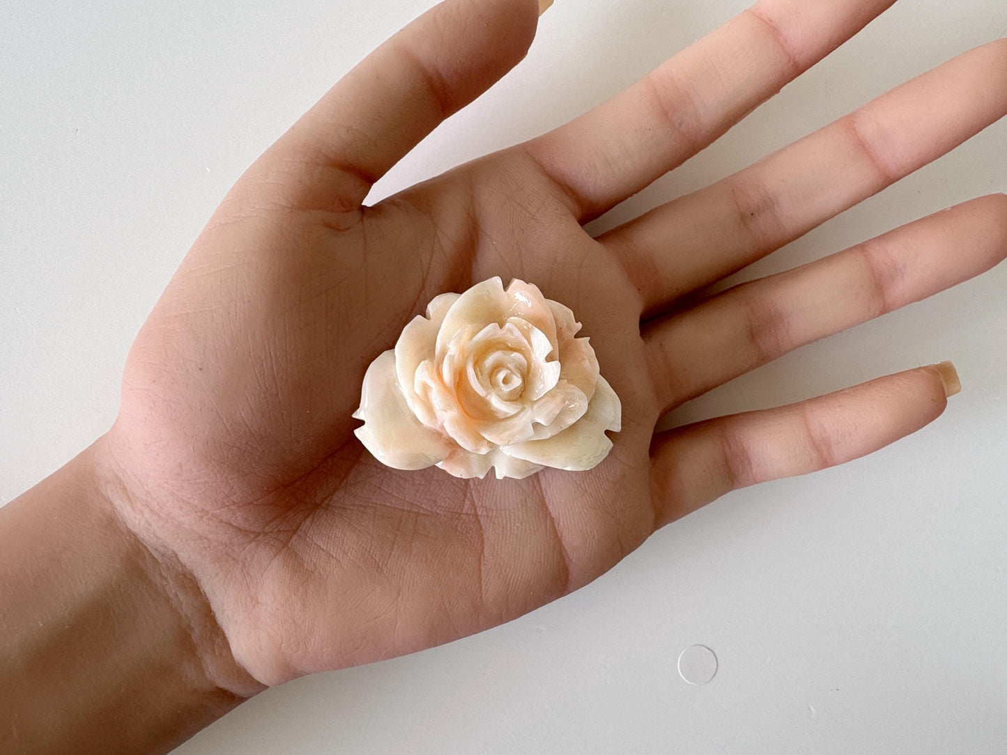 Natural Deep Sea Coral Rose Carving Loose, Natural Pink/White Color Coral, 43x34mm, Flat Back, For Jewelry Making