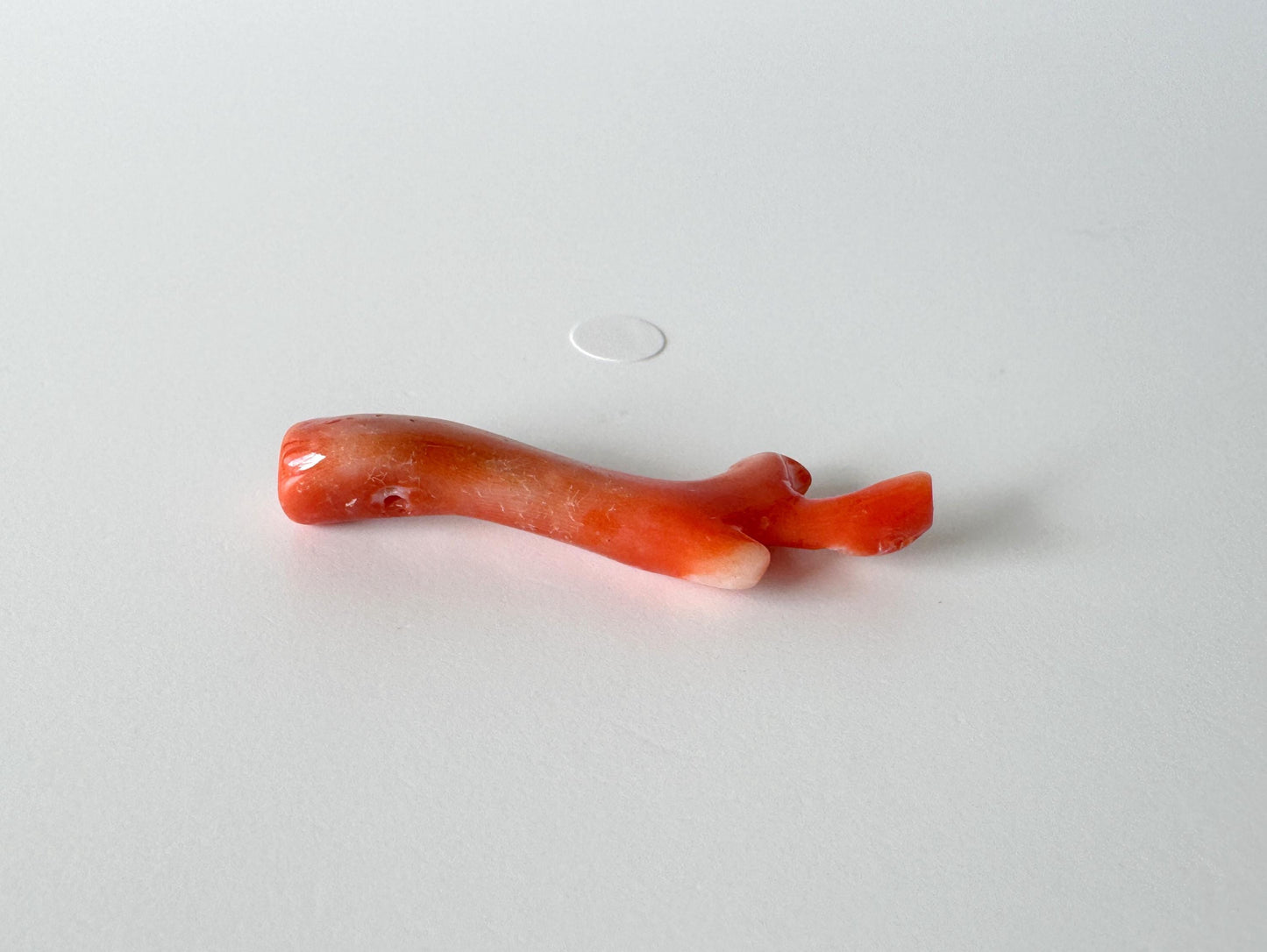 Japanese red(Aka) coral branch, 42mm, Hole on top, Natural vermilion color coral for jewelry making