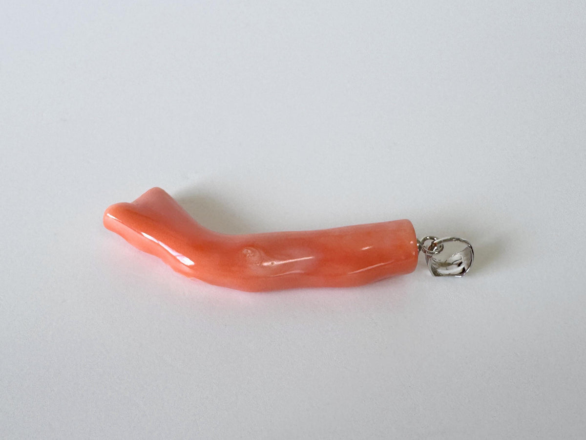 Coral Branch Pendant Natural Deep Sea Coral: Orange Pink Coral Jewelry Accent, Silver Bail (40mm Length)