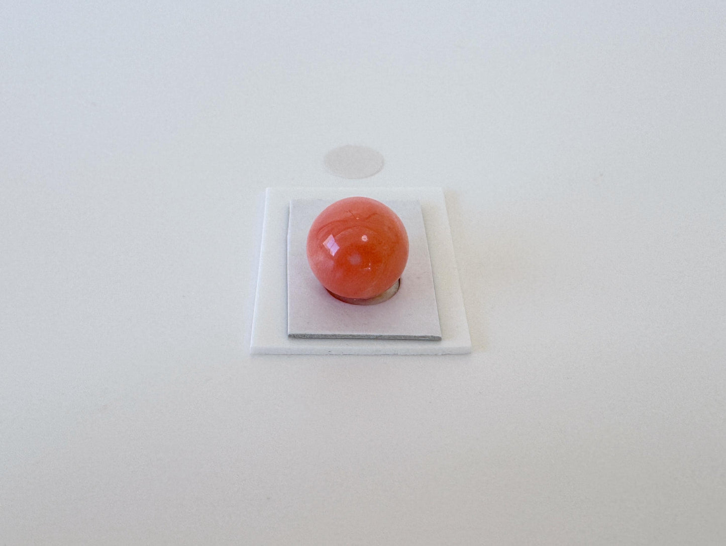 Natural Momo Coral Bead | 10.5mm Orange Round Coral Gemstone Half Drilled Hole Jewelry Crafting